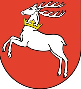 Fundacja „Obywatelski Wschód” wyda album „Fotograficzna historia Zamościa”