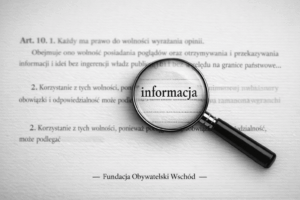 Dezinformacja – znaczenie rzetelnej informacji dla ochrony praw człowieka